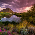 The Best Outdoor Experiences in Maricopa County, Arizona