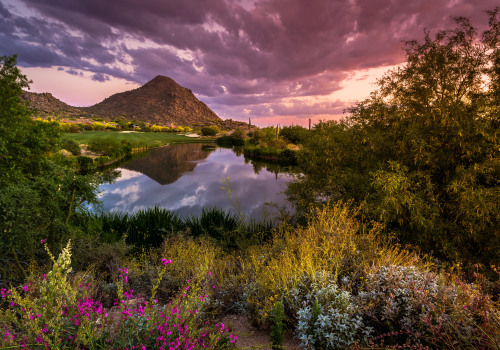 The Most Instagrammable Attractions in Maricopa County, Arizona